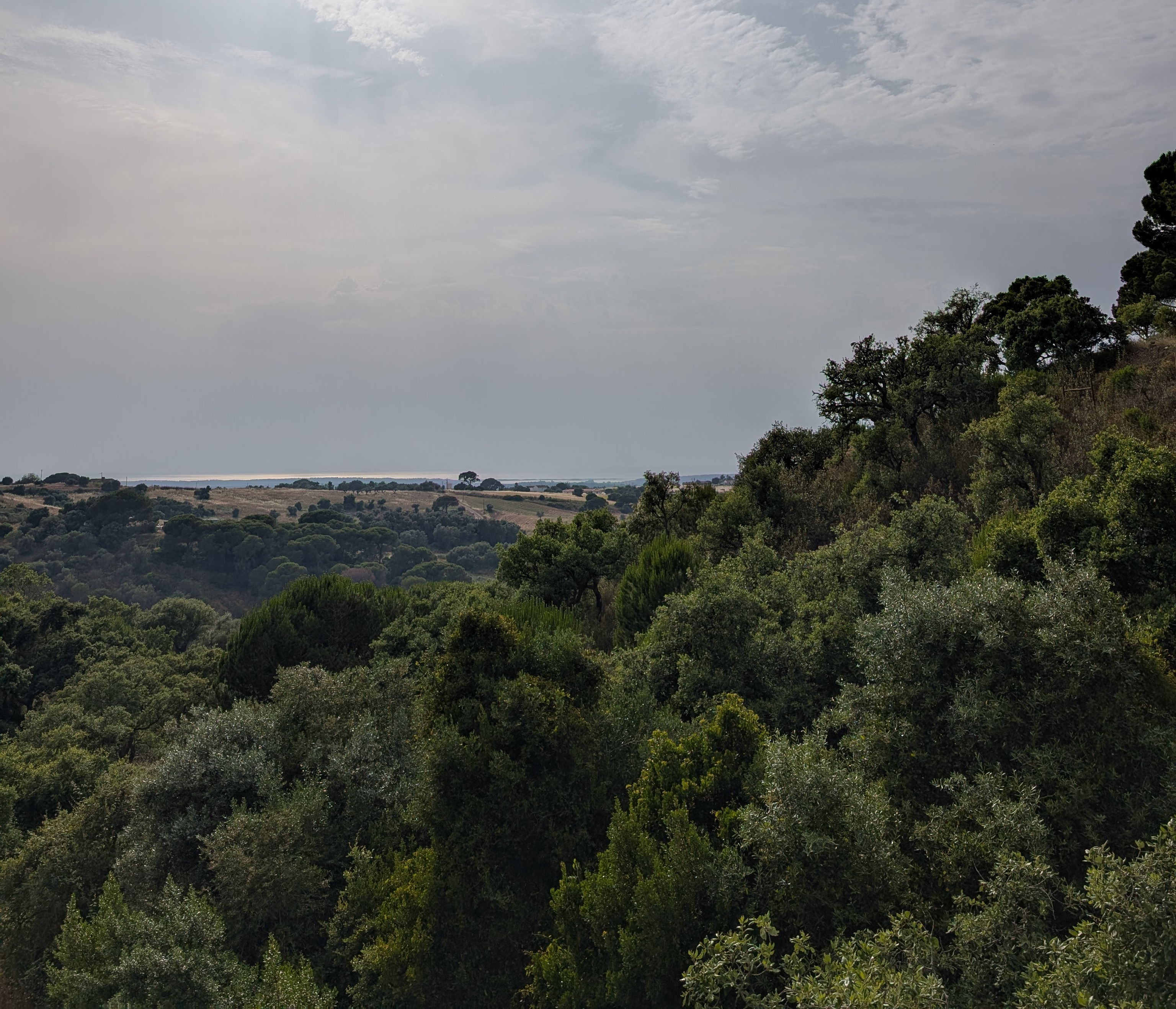 Inspiring hillside view